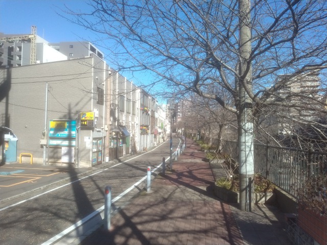 riverside_ookagawa