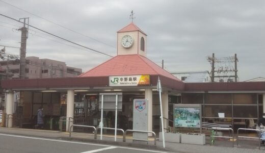 「中野島駅」の住みやすさ　～カントリー感あふれる昔ながらの住宅地～