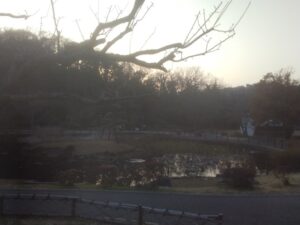 kamiooka_kuraki-park4