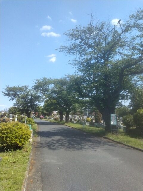 tsudayama_midorigaoka-cemetery5