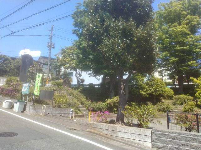 tsudayama_park3